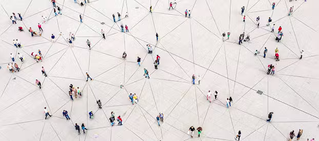 Licensing framework and project management on the process